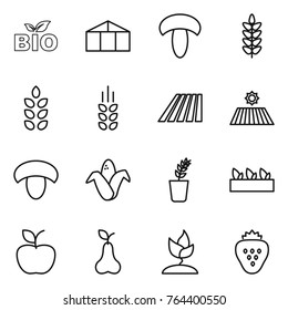 Thin line icon set : bio, greenhouse, mushroom, spikelets, field, corn, seedling, apple, pear, sprouting, strawberry