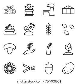 Thin line icon set : bio, flower, factory, greenhouse, bed, island, spikelets, seeds, mushroom, harvest, seedling, sprouting, pruner, acorn, potato