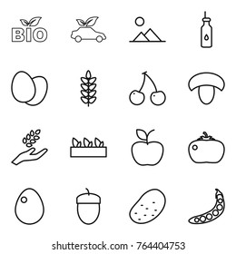 Thin line icon set : bio, eco car, landscape, vegetable oil, eggs, spikelets, cherry, mushroom, harvest, seedling, apple, tomato, egg, acorn, potato, peas