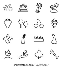Thin line icon set : bio, flower bed, palm, island, berry, trees, cherry, grape, corn, seedling, pear, sprouting, hand leaf, maple, blower