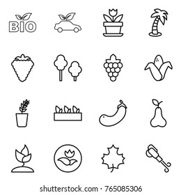 Thin line icon set : bio, eco car, flower, palm, berry, trees, grape, corn, seedling, eggplant, pear, sprouting, ecology, maple leaf, blower