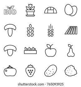 Thin line icon set : bio, flower, greenhouse, eggs, mushroom, spikelets, field, seedling, apple, pear, tomato, strawberry, potato, pile of garbage
