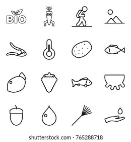 Thin line icon set : bio, dna modify, tourist, landscape, walnut crack, thermometer, potato, fish, lemon, berry, udder, acorn, drop, rake, hand and