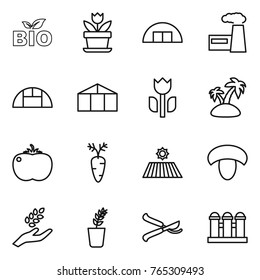 Thin line icon set : bio, flower, hangare, factory, greenhouse, perishable, island, tomato, carrot, field, mushroom, harvest, seedling, pruner, grain elevator