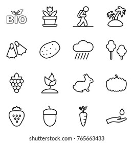 Thin line icon set : bio, flower, tourist, island, flippers, potato, rain cloud, trees, grape, sprouting, rabbit, pumpkin, strawberry, acorn, carrot, hand and drop