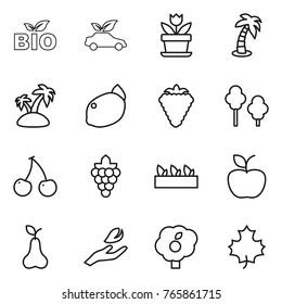 Thin line icon set : bio, eco car, flower, palm, island, lemon, berry, trees, cherry, grape, seedling, apple, pear, hand leaf, garden, maple