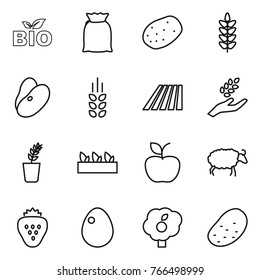 Thin line icon set : bio, flour, potato, spikelets, beans, field, harvest, seedling, apple, sheep, strawberry, egg, garden