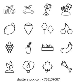 Thin line icon set : bio, eco car, palm, island, lemon, berry, trees, cherry, grape, seedling, eggplant, sprouting, garden, maple leaf, blower