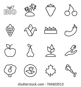 Thin line icon set : bio, island, berry, cherry, grape, corn, seedling, eggplant, apple, pear, sprouting, hand leaf, garden, ecology, maple, blower