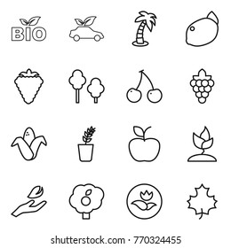 Thin line icon set : bio, eco car, palm, lemon, berry, trees, cherry, grape, corn, seedling, apple, sprouting, hand leaf, garden, ecology, maple
