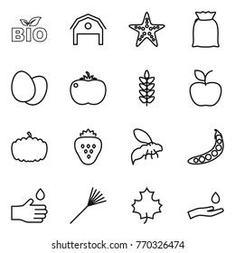 Thin line icon set : bio, barn, starfish, flour, eggs, tomato, spikelets, apple, pumpkin, strawberry, wasp, peas, hand drop, rake, maple leaf, and