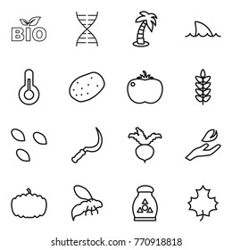 Thin line icon set : bio, dna, palm, shark flipper, thermometer, potato, tomato, spikelets, seeds, sickle, beet, hand leaf, pumpkin, wasp, fertilizer, maple