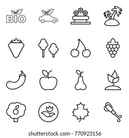 Thin line icon set : bio, eco car, flower bed, island, berry, trees, cherry, grape, eggplant, apple, pear, sprouting, garden, ecology, maple leaf, blower