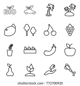 Thin line icon set : bio, eco car, palm, island, lemon, trees, cherry, grape, seedling, eggplant, apple, pear, sprouting, hand leaf, blower