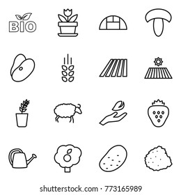 Thin line icon set : bio, flower, greenhouse, mushroom, beans, spikelets, field, seedling, sheep, hand leaf, strawberry, watering can, garden, potato, pile of garbage