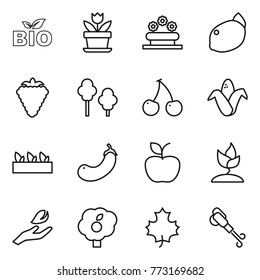 Thin line icon set : bio, flower, bed, lemon, berry, trees, cherry, corn, seedling, eggplant, apple, sprouting, hand leaf, garden, maple, blower