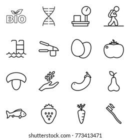 Thin line icon set : bio, dna, warehouse scales, tourist, pool, garlic clasp, eggs, tomato, mushroom, harvest, eggplant, pear, fish, strawberry, carrot, tooth brush