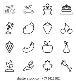 Thin line icon set : bio, eco car, flower, bed, palm, lemon, berry, cherry, grape, eggplant, apple, pear, sprouting, hand leaf, maple, blower