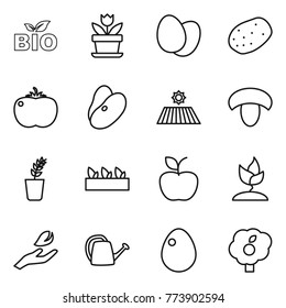 Thin line icon set : bio, flower, eggs, potato, tomato, beans, field, mushroom, seedling, apple, sprouting, hand leaf, watering can, egg, garden