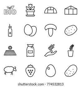 Thin line icon set : bio, flower, greenhouse, vegetable oil, eggs, mushroom, potato, field, flour, harvest, seedling, sheep, strawberry, egg