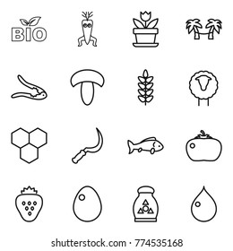 Thin line icon set : bio, dna modify, flower, palm hammock, walnut crack, mushroom, spikelets, sheep, honeycombs, sickle, fish, tomato, strawberry, egg, fertilizer, drop