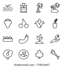 Thin line icon set : bio, flower, palm, island, berry, cherry, corn, seedling, eggplant, sprouting, hand leaf, garden, ecology, maple, blower