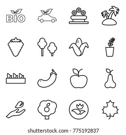 Thin line icon set : bio, eco car, flower bed, island, berry, trees, corn, seedling, eggplant, apple, pear, hand leaf, garden, ecology, maple