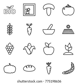 Thin line icon set : bio, flower in window, mushroom, tomato, spikelets, carrot, mortar, field, grape, corn, apple, sprouting, pumpkin, bread, peas