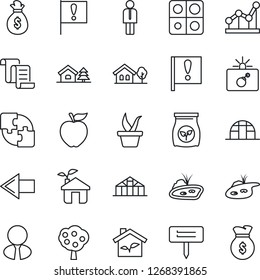 Thin Line Icon Set - bomb in case vector, left arrow, manager, contract, seedling, plant label, greenhouse, fertilizer, important flag, application, point graph, house with tree, pond, fruit, apple