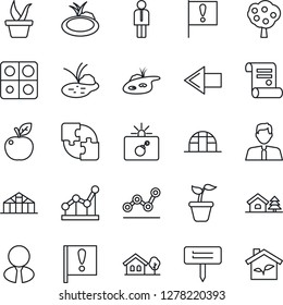 Thin Line Icon Set - bomb in case vector, left arrow, manager, contract, seedling, plant label, greenhouse, pond, important flag, application, point graph, house with tree, fruit, estate agent, eco