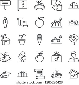 Thin Line Icon Set - bomb in case vector, manager, contract, seedling, plant label, greenhouse, pond, important flag, application, point graph, house with tree, fruit, estate agent, apple, eco