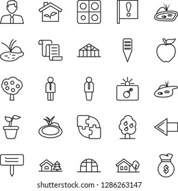 Thin Line Icon Set - bomb in case vector, left arrow, manager, contract, seedling, plant label, greenhouse, pond, important flag, application, house with tree, fruit, estate agent, apple, eco