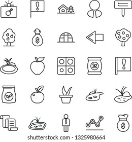 Thin Line Icon Set - bomb in case vector, left arrow, manager, contract, seedling, plant label, greenhouse, pond, fertilizer, important flag, application, point graph, house with tree, fruit, apple