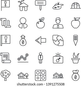 Thin Line Icon Set - bomb in case vector, left arrow, manager, contract, seedling, plant label, greenhouse, important flag, application, point graph, house with tree, pond, fruit, estate agent, eco