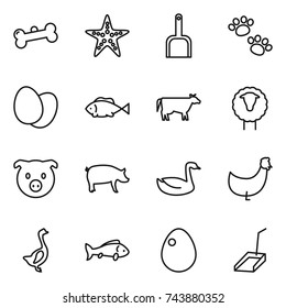 thin line icon set : bone, starfish, scoop, pets, eggs, fish, cow, sheep, pig, goose, chicken, egg