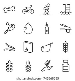 thin line icon set : bone, bike, tourist, pool, tennis, drop, vegetable oil, garlic clasp, walnut crack, cereals, chicken leg, spikelets, harvest, pills bottle