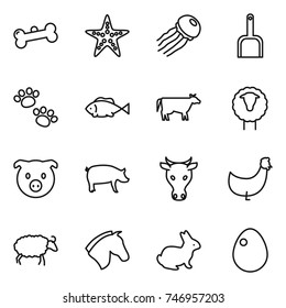 thin line icon set : bone, starfish, jellyfish, scoop, pets, fish, cow, sheep, pig, chicken, horse, rabbit, egg