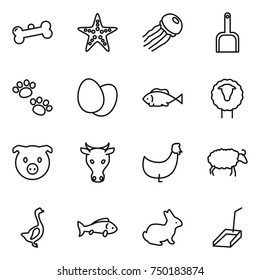 thin line icon set : bone, starfish, jellyfish, scoop, pets, eggs, fish, sheep, pig, cow, chicken, goose, rabbit
