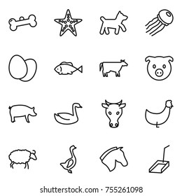 thin line icon set : bone, starfish, dog, jellyfish, eggs, fish, cow, pig, goose, chicken, sheep, horse, scoop