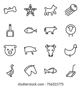Thin line icon set : bone, starfish, dog, jellyfish, scoop, fish, cow, sheep, pig, chicken, goose, horse
