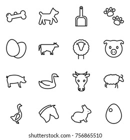 Thin line icon set : bone, dog, scoop, pets, eggs, cow, sheep, pig, goose, horse, rabbit, egg