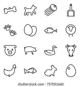 Thin line icon set : bone, dog, jellyfish, scoop, pets, eggs, fish, sheep, pig, goose, cow, chicken, rabbit, egg