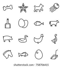 Thin line icon set : bone, starfish, dog, jellyfish, scoop, eggs, fish, cow, pig, goose, chicken, horse, egg