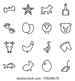 Thin line icon set : bone, starfish, dog, scoop, pets, eggs, sheep, pig, cow, chicken, goose, horse, fish, rabbit, egg