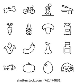 Thin line icon set : bone, bike, tourist, garlic clasp, carrot, spikelets, mushroom, flour, corn, eggplant, pear, pills bottle, fish, pumpkin, egg, cheese