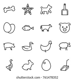 Thin line icon set : bone, starfish, dog, scoop, eggs, fish, cow, pig, goose, chicken, sheep, rabbit, egg
