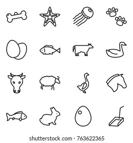 Thin line icon set : bone, starfish, jellyfish, pets, eggs, fish, cow, goose, sheep, horse, rabbit, egg, scoop