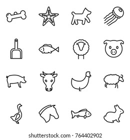 Thin line icon set : bone, starfish, dog, jellyfish, scoop, fish, sheep, pig, cow, chicken, goose, horse, rabbit