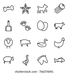 Thin line icon set : bone, starfish, dog, jellyfish, scoop, pets, eggs, cow, sheep, pig, goose, chicken, horse, fish