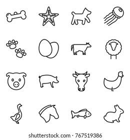 Thin line icon set : bone, starfish, dog, jellyfish, pets, eggs, cow, sheep, pig, chicken, goose, horse, fish, rabbit